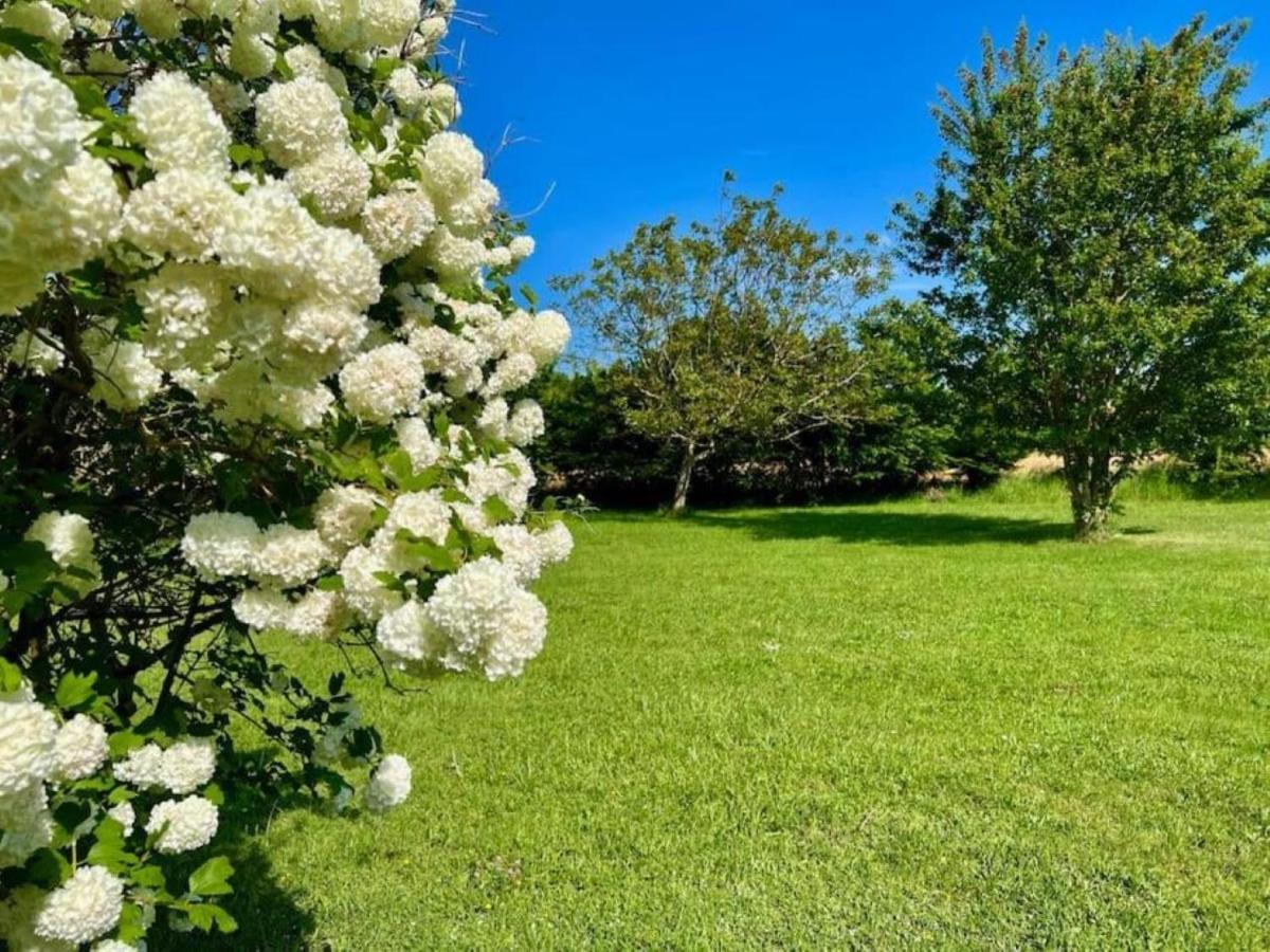 La Ferme Du Bois De Plottes Bed & Breakfast Bagian luar foto